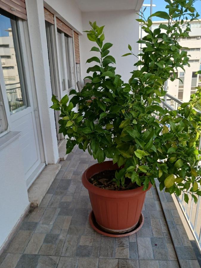 ספליט Room With Private Toilet And Terrace In City Center In Shared Apartment מראה חיצוני תמונה